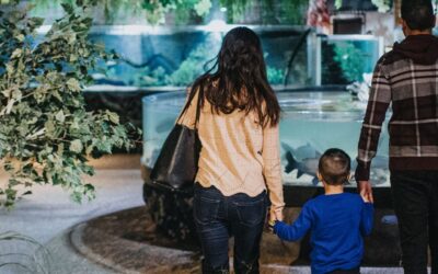 8 Sensory Inclusive Family Attractions in Cleveland